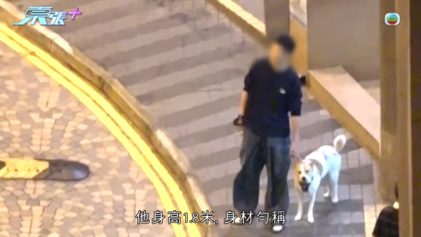 深井碼頭驚現缺德狗主狂掟狗屎！街坊化身偵探夜夜埋伏搜證成功「斷正」