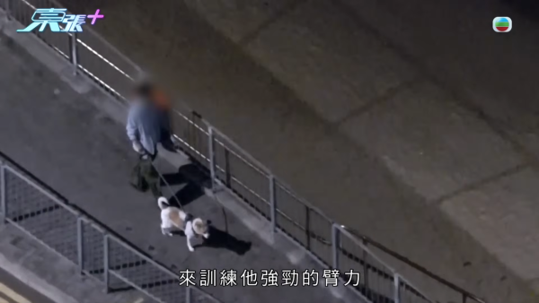 深井碼頭驚現缺德狗主狂掟狗屎！街坊化身偵探夜夜埋伏搜證成功「斷正」