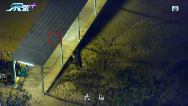 深井碼頭驚現缺德狗主狂掟狗屎！街坊化身偵探夜夜埋伏搜證成功「斷正」