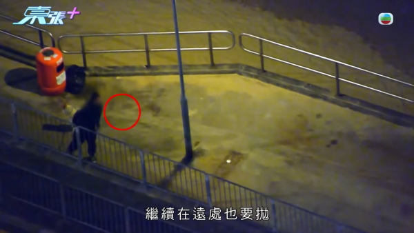 深井碼頭驚現缺德狗主狂掟狗屎！街坊化身偵探夜夜埋伏搜證成功「斷正」