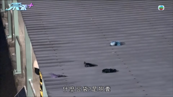 深井碼頭驚現缺德狗主狂掟狗屎！街坊化身偵探夜夜埋伏搜證成功「斷正」