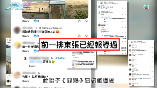 深井碼頭驚現缺德狗主狂掟狗屎！街坊化身偵探夜夜埋伏搜證成功「斷正」