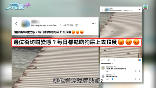 深井碼頭驚現缺德狗主狂掟狗屎！街坊化身偵探夜夜埋伏搜證成功「斷正」