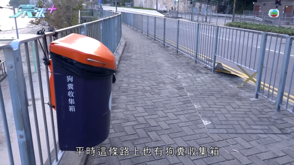 深井碼頭驚現缺德狗主狂掟狗屎！街坊化身偵探夜夜埋伏搜證成功「斷正」