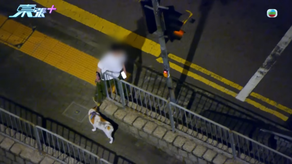 深井碼頭驚現缺德狗主狂掟狗屎！街坊化身偵探夜夜埋伏搜證成功「斷正」