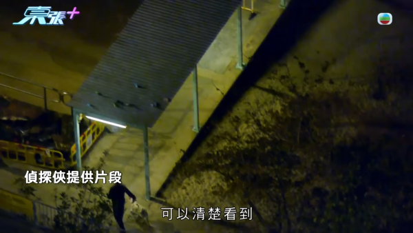 深井碼頭驚現缺德狗主狂掟狗屎！街坊化身偵探夜夜埋伏搜證成功「斷正」