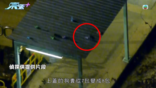 深井碼頭驚現缺德狗主狂掟狗屎！街坊化身偵探夜夜埋伏搜證成功「斷正」