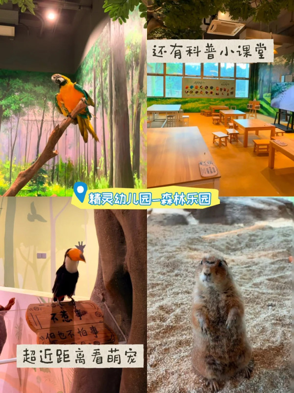 廣州增城全新親子度假樂園暑假必去！超大金沙灘/動物互動＋機動遊戲 附地址交通 