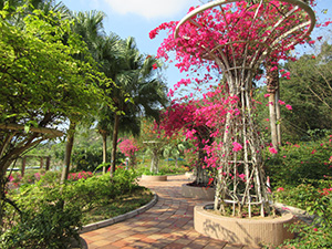 佐敦谷公園（來源：康文署）
