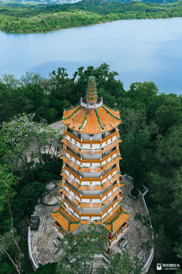圖片來源:小紅書@深圳微时光 深圳西麗塔正式開放免費入場!360°湖景打卡、俯瞰西麗湖日落秘景 附地址交通