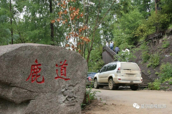 圖片：莫爾道嘎國家森林公園微信公眾號