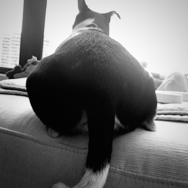 小儀悲痛撰長文痛失細佬佬離世!晒黑白合照淚別:安然接受生命最尾