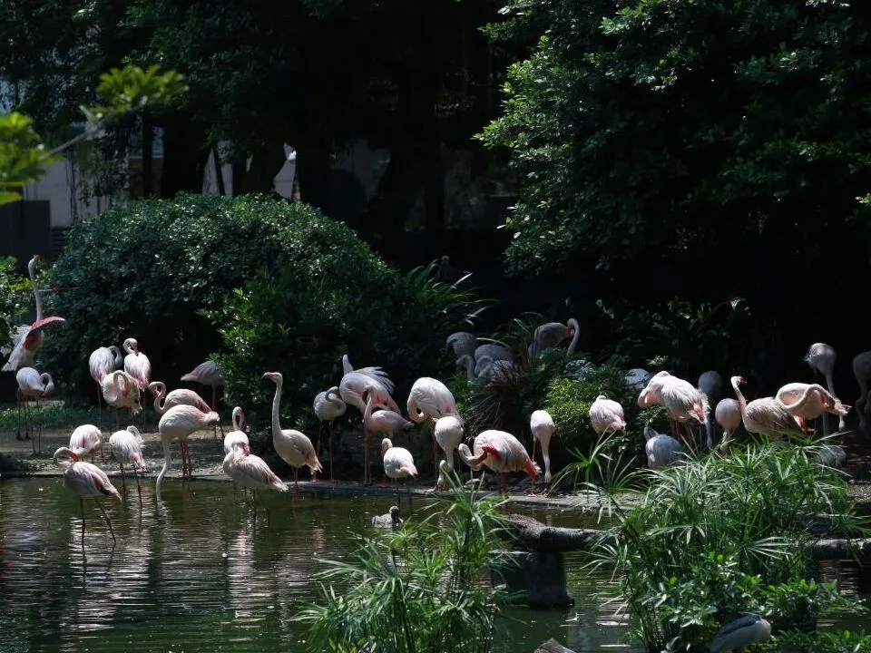 九龍公園（來源：旅發局）