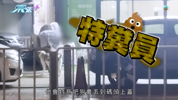 深井扔狗屎狂徒遭抓现行后镜头前认怂道歉!摄影师都忍不出声戳破大话
