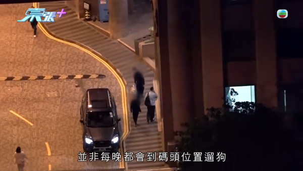 深井扔狗屎狂徒遭抓现行后镜头前认怂道歉!摄影师都忍不出声戳破大话