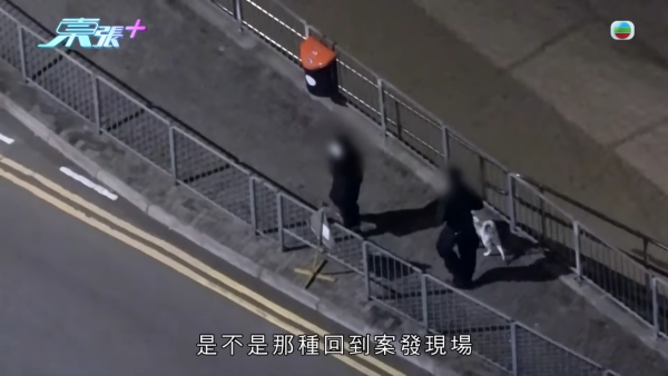 深井扔狗屎狂徒遭抓现行后镜头前认怂道歉!摄影师都忍不出声戳破大话