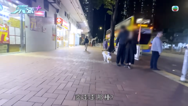 深井扔狗屎狂徒遭抓现行后镜头前认怂道歉！摄影师都忍不出声戳破大话