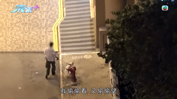 深井扔狗屎狂徒遭抓现行后镜头前认怂道歉！摄影师都忍不出声戳破大话