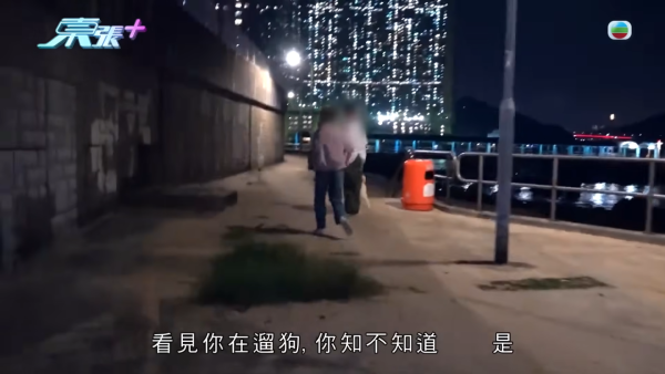 深井扔狗屎狂徒遭抓现行后镜头前认怂道歉!摄影师都忍不出声戳破大话