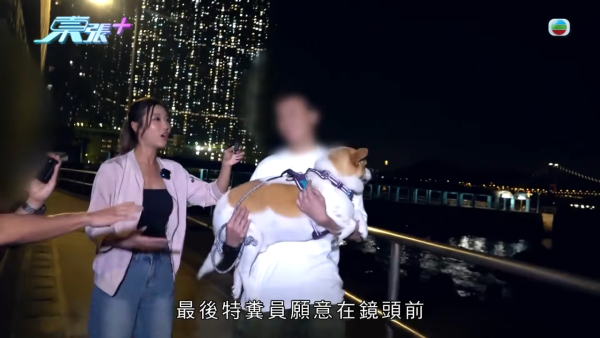 深井扔狗屎狂徒遭抓现行后镜头前认怂道歉!摄影师都忍不出声戳破大话