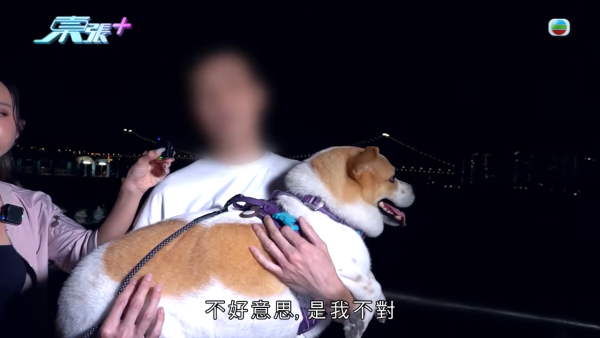 深井扔狗屎狂徒遭抓现行后镜头前认怂道歉!摄影师都忍不出声戳破大话