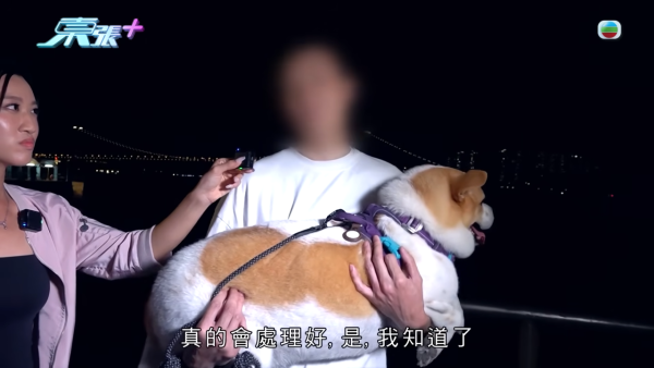 深井扔狗屎狂徒遭抓现行后镜头前认怂道歉！摄影师都忍不出声戳破大话