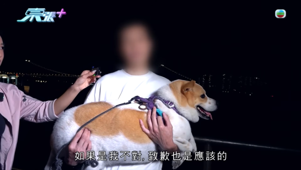 深井扔狗屎狂徒遭抓现行后镜头前认怂道歉！摄影师都忍不出声戳破大话