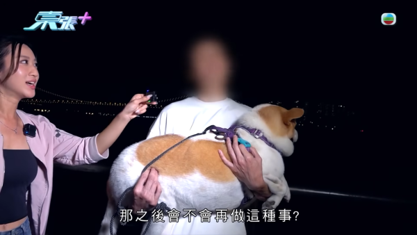 深井扔狗屎狂徒遭抓现行后镜头前认怂道歉！摄影师都忍不出声戳破大话