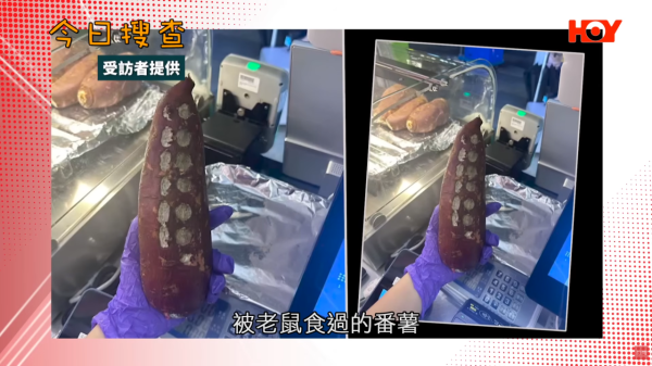 連鎖飲品店番薯藏蛆蟲！前員工揭老鼠屎遍地/爛生果榨汁 食環接50投訴