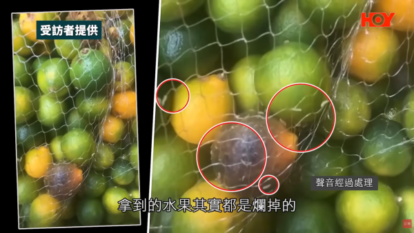 连锁饮品店番薯藏虫！前员工揭老鼠屎遍地/烂水果榨汁 食环接50投诉