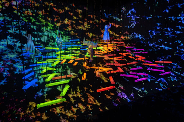 teamLab Planets TOKYO (圖片來源:www.teamlab.art) 東京室內景點|8大下雨天必去打卡位!豐洲teamLab光影展、亞洲最大微縮模型世界
