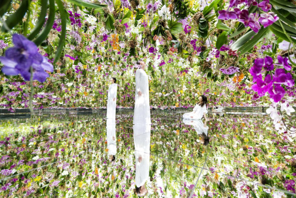 teamLab Planets TOKYO (圖片來源:www.teamlab.art) 東京室內景點|8大下雨天必去打卡位!豐洲teamLab光影展、亞洲最大微縮模型世界