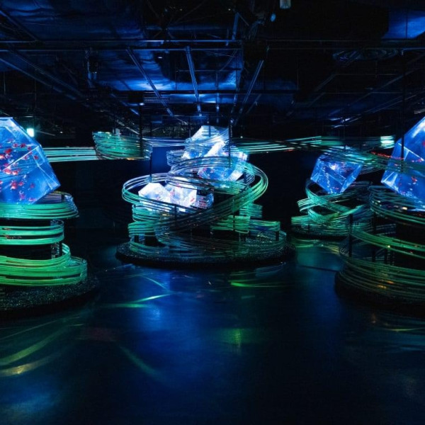 銀座藝術水族館(圖片來源:artaquarium.jp) 東京室內景點|8大下雨天必去打卡位!豐洲teamLab光影展、亞洲最大微縮模型世界