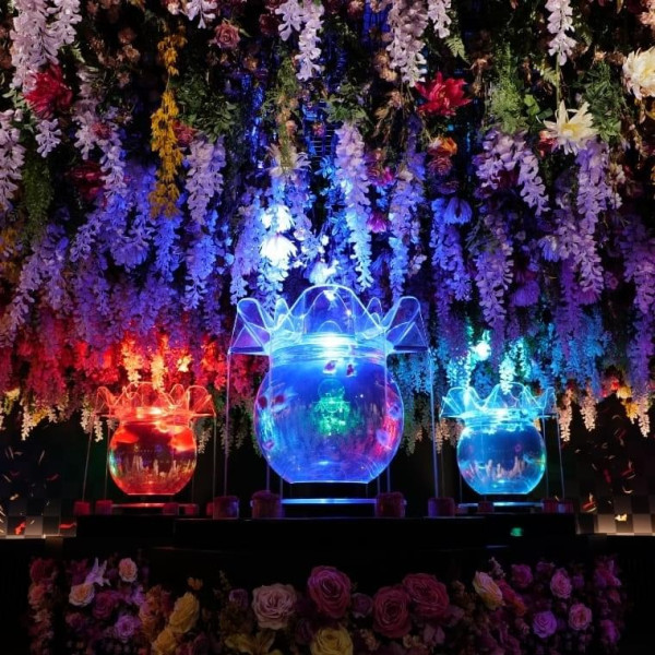 銀座藝術水族館(圖片來源:artaquarium.jp) 東京室內景點|8大下雨天必去打卡位!豐洲teamLab光影展、亞洲最大微縮模型世界