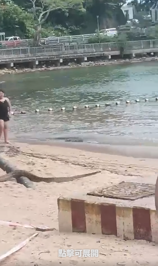 深水湾惊现2米巨蛇落海！全场泳客吓到四散 附遇蛇保命防咬指引