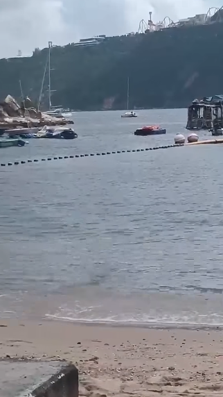 深水湾惊现2米巨蛇落海！全场泳客吓到四散 附遇蛇保命防咬指引