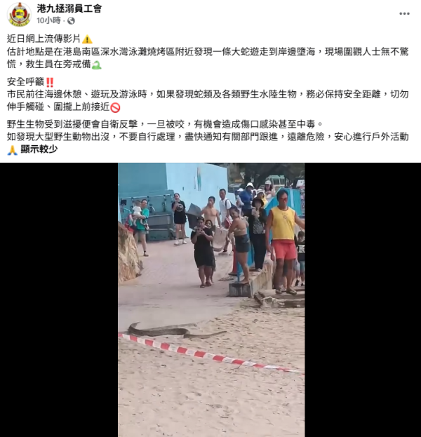 深水湾惊现2米巨蛇落海！全场泳客吓到四散 附遇蛇保命防咬指引