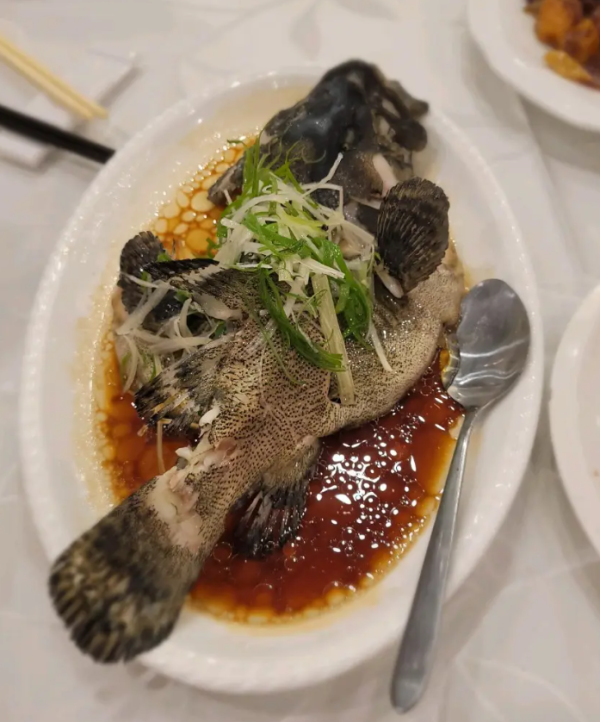 飲茶優惠｜連鎖酒樓7.1回歸飲茶優惠！$7.1歎精選點心／$71搶原條清蒸海斑 (附指定分店及時段)