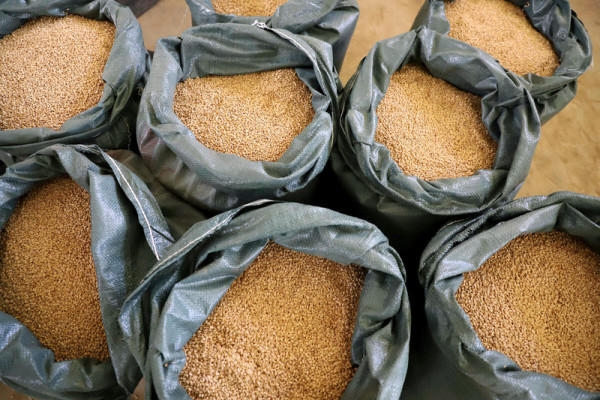 厄尔尼诺杀到！港人10大常吃食物恐加价 FAO警告粮食通胀 附省钱方法