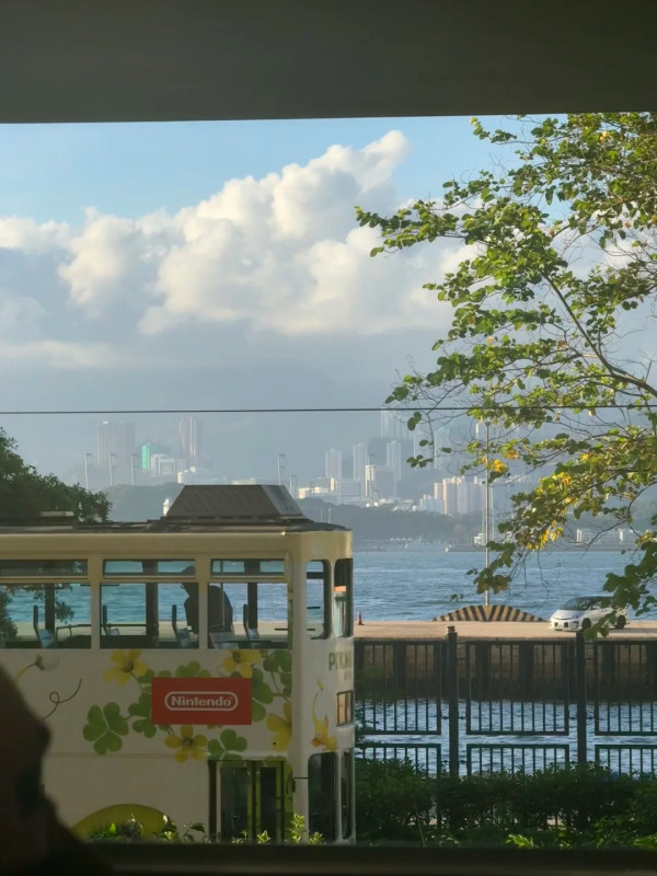 50元有找！城巴落日飞车！隐藏港岛海岸线看海景，网友教必坐1神位