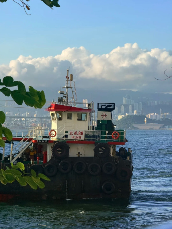 50元有找！城巴落日飞车！隐藏港岛海岸线看海景，网友教必坐1神位