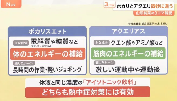 寶礦力、水動樂功效大不同？日本醫生建議感冒/腸胃炎時飲呢款！連搭長途機不適都有用？