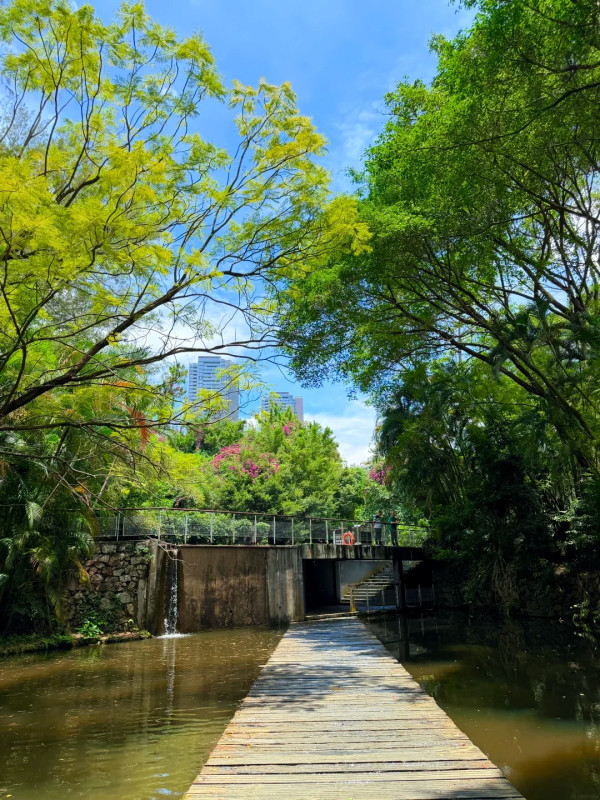 燕晗山郊野公園,圖片來源:小紅書@胖哒的旅行日记 深圳好去處|8大深圳小眾景點推介!避開人潮慢遊藝術古村、山海秘境 附地址交通