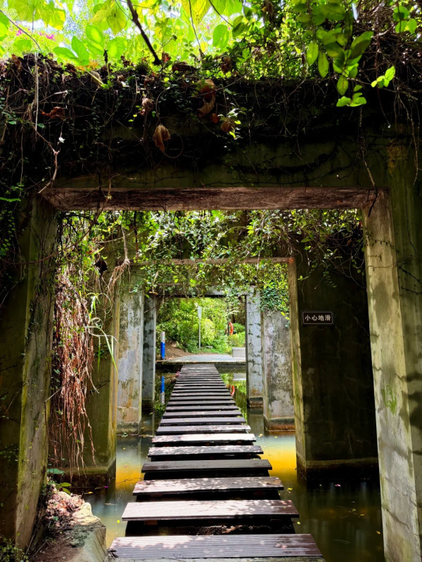 燕晗山郊野公園,圖片來源:小紅書@胖哒的旅行日记 深圳好去處|8大深圳小眾景點推介!避開人潮慢遊藝術古村、山海秘境 附地址交通