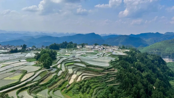 圖片來源:wingontravel 貴州超值純玩高鐵旅行團3大推介!港人北上避暑首選!世界級瀑布/千戶苗寨/茅台酒廠