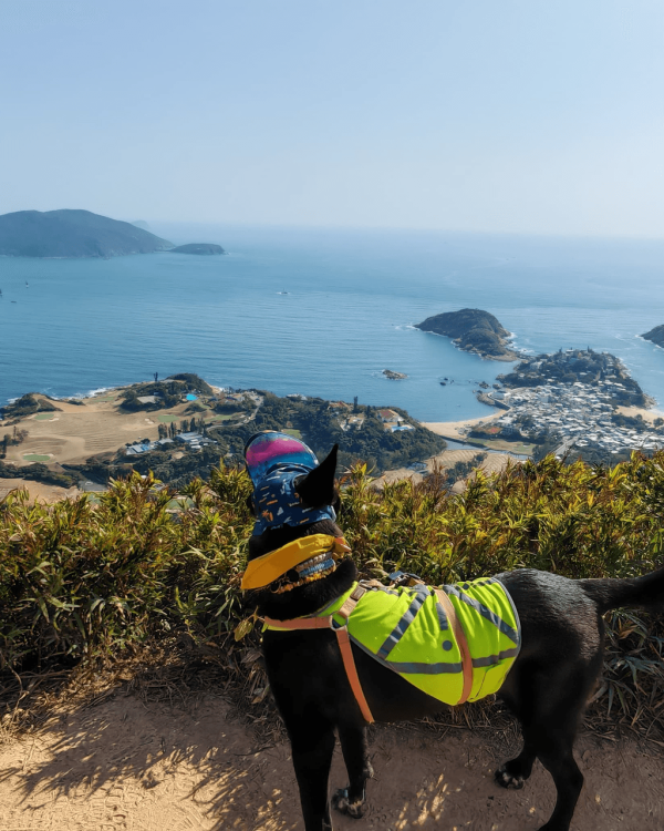 【親子假日好去處】港島10大一日遊路線推介 必食餐廳／全新室內競技場／戶外好去處