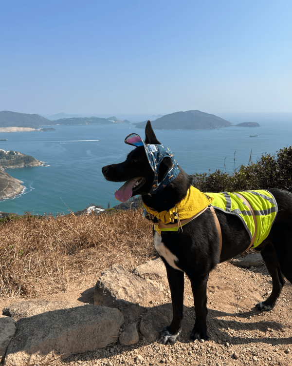 【親子假日好去處】港島10大一日遊路線推介 必食餐廳／全新室內競技場／戶外好去處