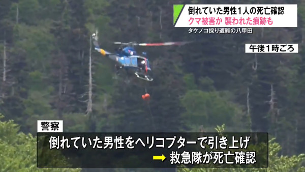 日本青森八甲田山尋獲男屍 63歲老翁疑採竹筍遭熊襲擊身亡