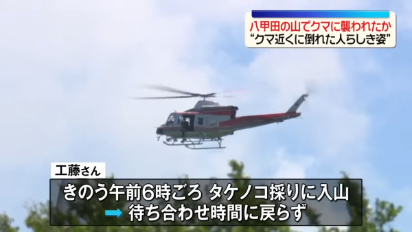 日本青森八甲田山尋獲男屍 63歲老翁疑採竹筍遭熊襲擊身亡
