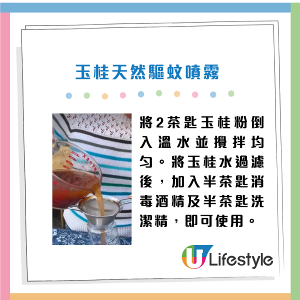 夏天蚊蟲烏蠅入屋！百萬網紅嫲嫲教4步自製「天然驅蚊噴霧」！靠$3成本廚房食材 3招害蟲徹底絕跡